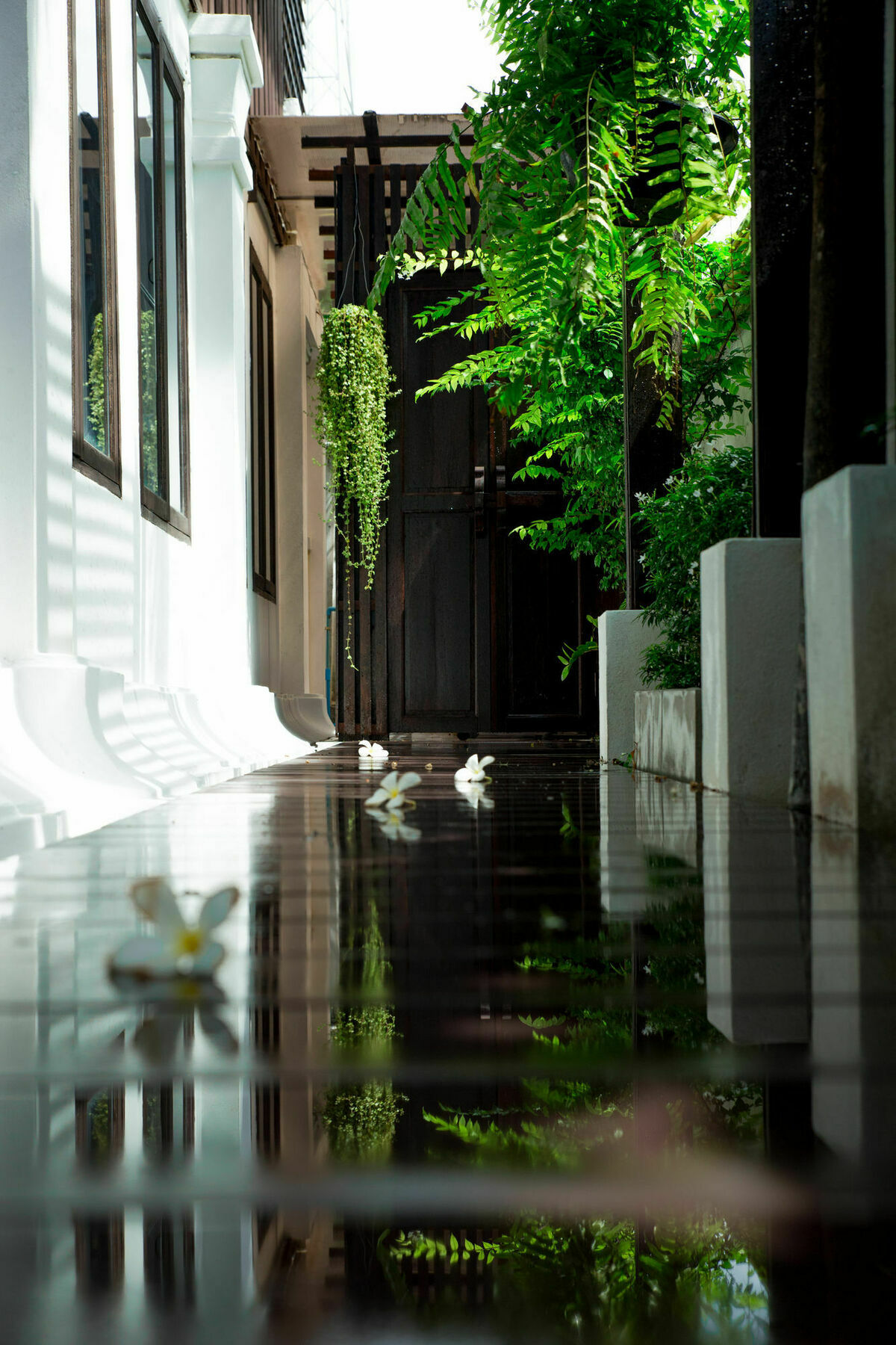 Rachamankha Thai Villa Chiang Mai Ngoại thất bức ảnh